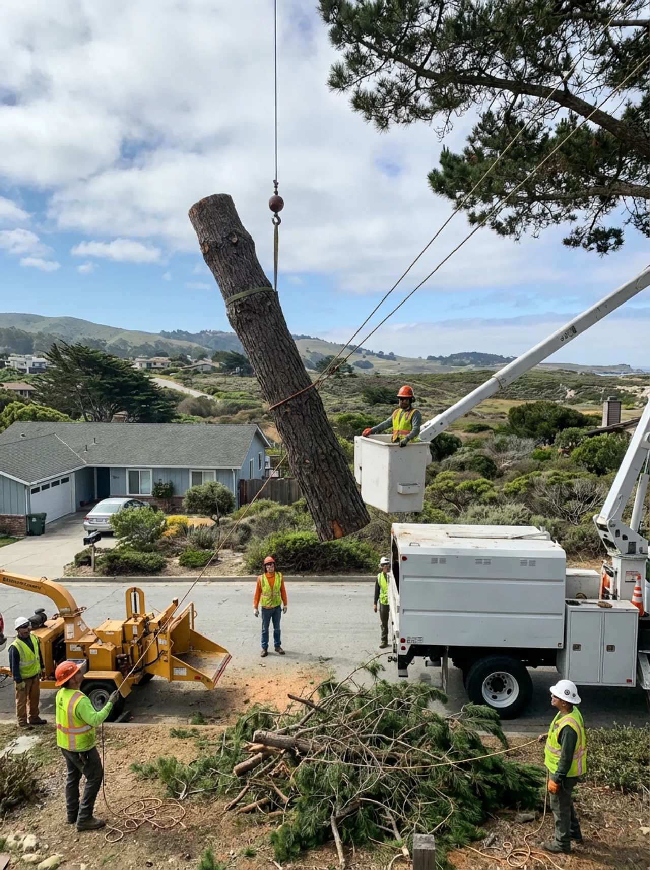 High Five Tree Care crew at work